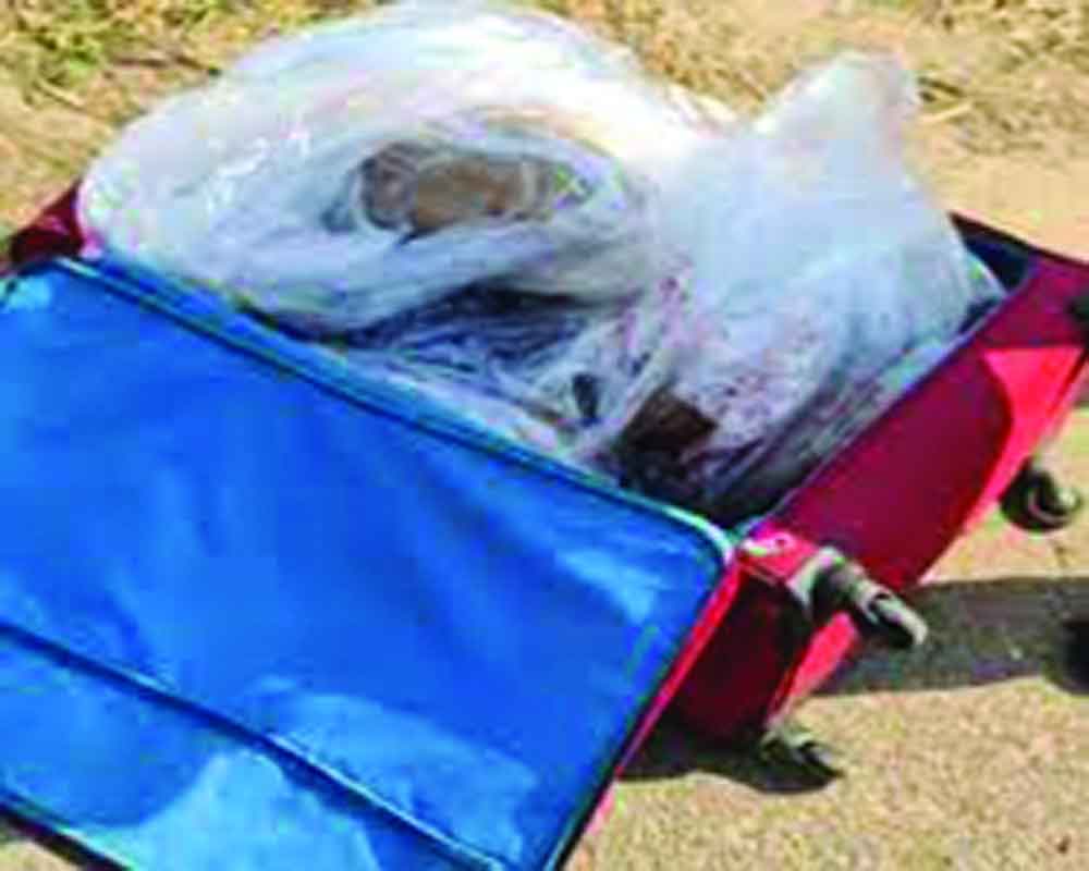 Girl’s body in trolley bag found on Yamuna E-way