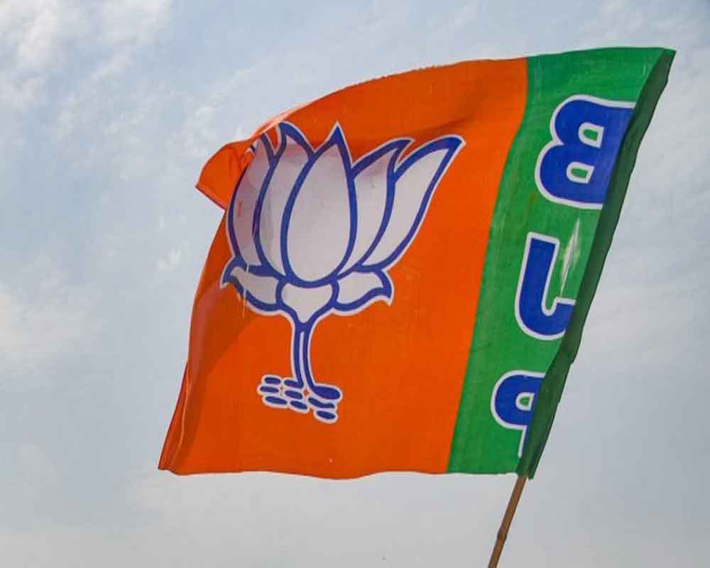 Gujarat Assembly poll win: BJP workers celebrate in Nashik