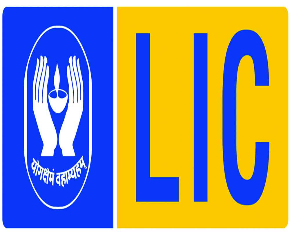 LIC SHOULD OPT FOR A RIGHTS ISSUE