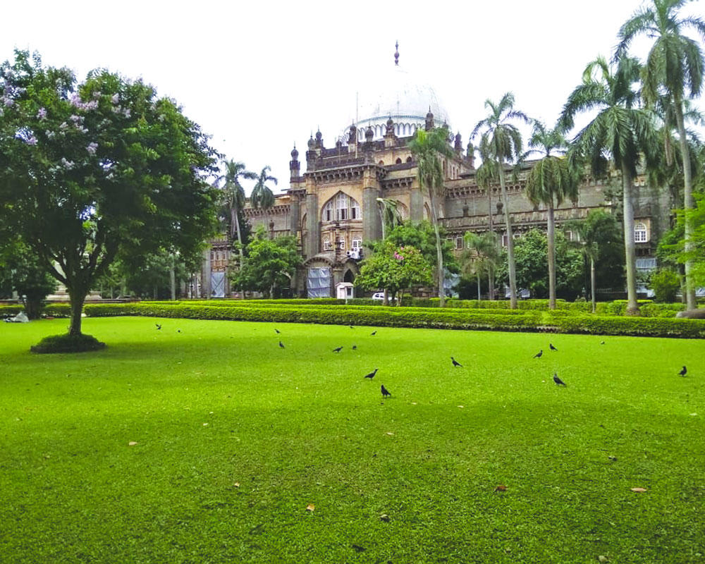 Mumbai The Buddhist Connection