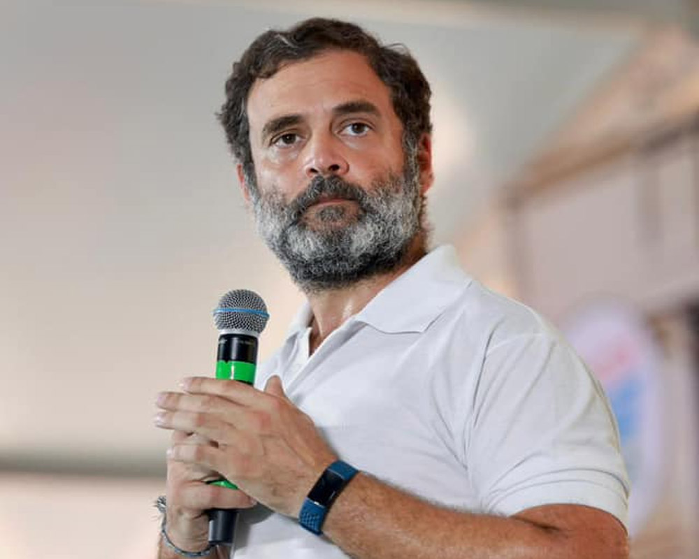 New Congress president will decide my role: Rahul Gandhi