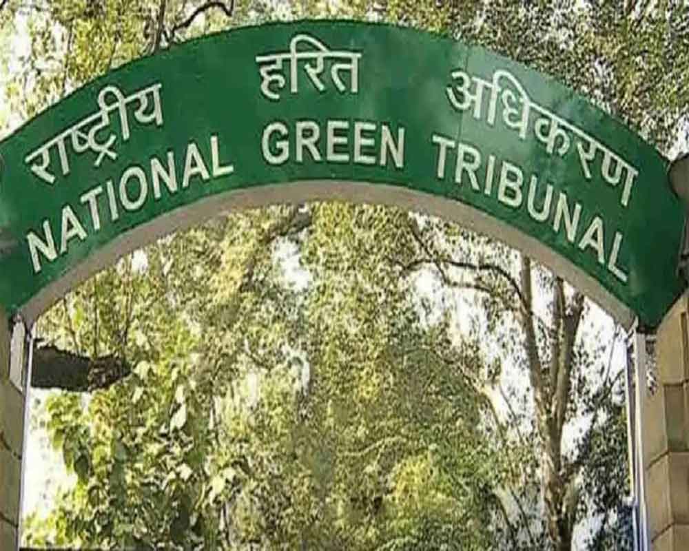 NGT forms panel for report on green norm violations by housing project in Ghaziabad
