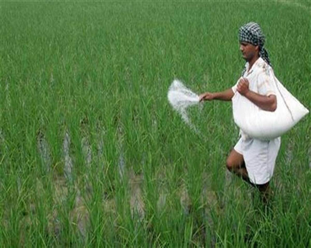 Rs 60,939 cr subsidy for  P&K fertilisers OK’d