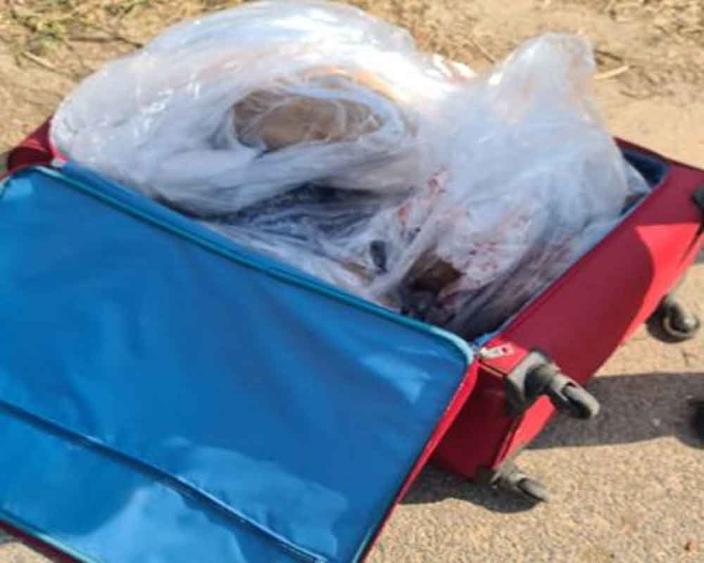 Woman's body found inside trolley bag on UP's Yamuna Expressway