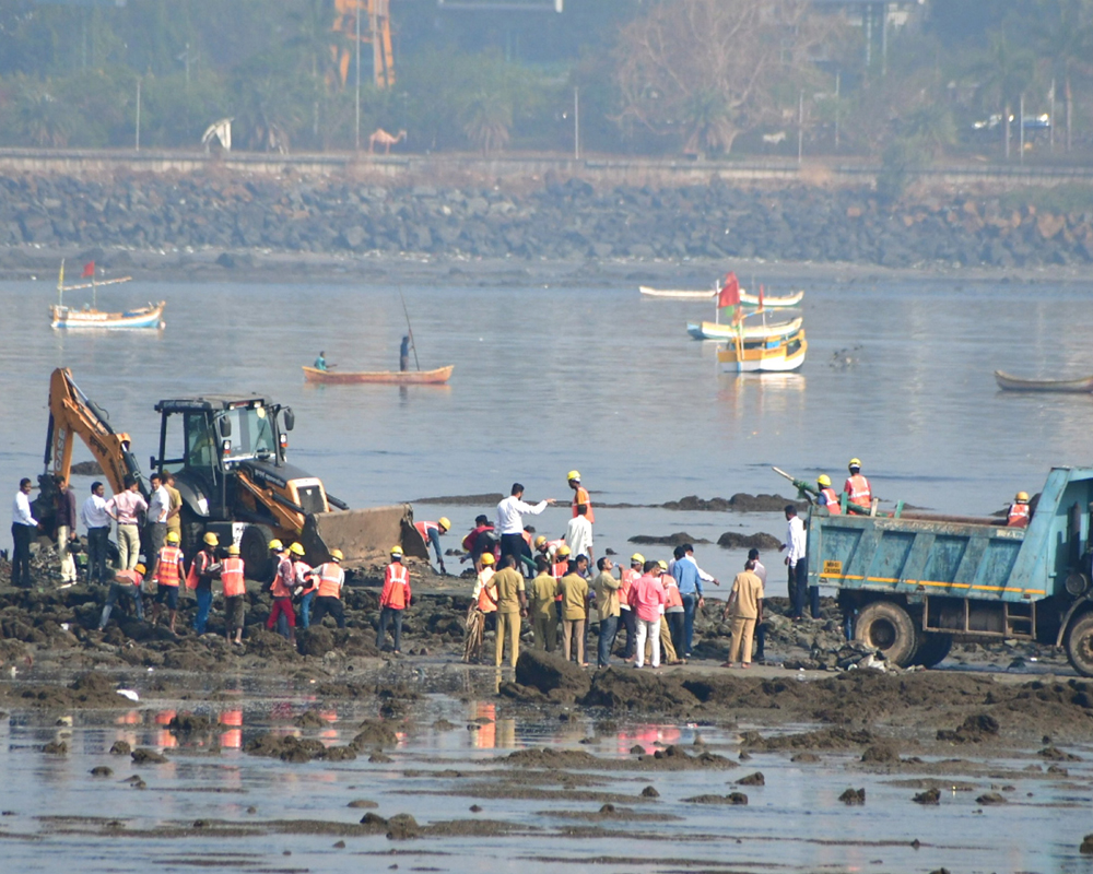 12 hrs after Raj Thackeray's 'threat', BMC razes illegal 'dargah' in Mahim sea