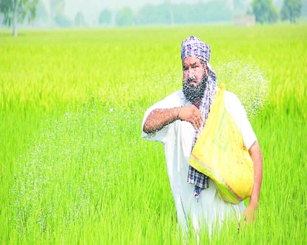 Fertiliser subsidy: Shortcuts won’t work