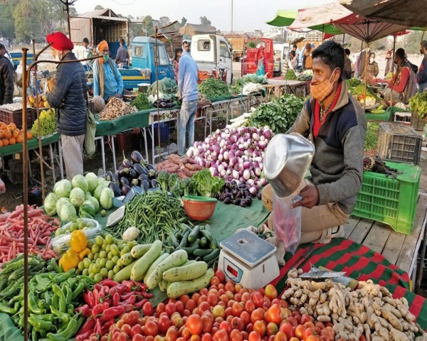 WPI inflation spikes to 8-month high of 0.26 pc in Nov on costlier veggies, onion