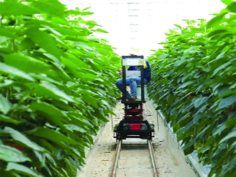 Agritech farm inputs give higher yield