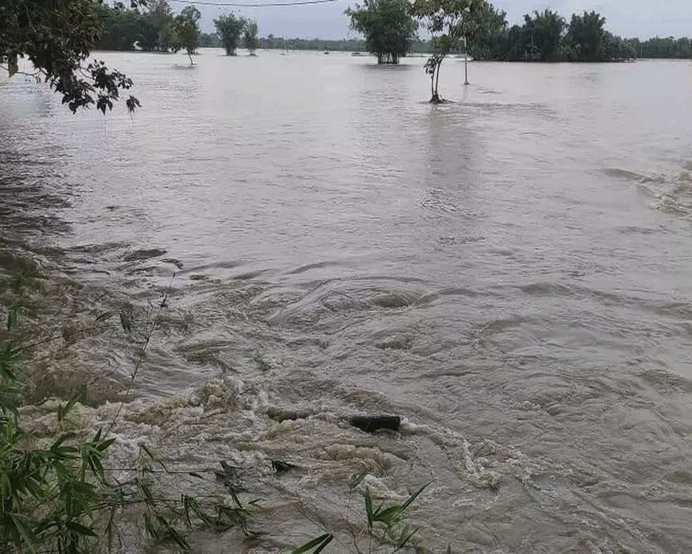 Assam: Flood Situation Remains Grim, Over 4 Lakh Hit