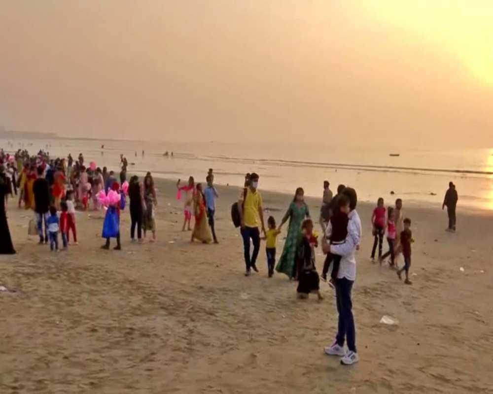 BMC issues advisory for citizens amid presence of jellyfish stingrays on Juhu beach