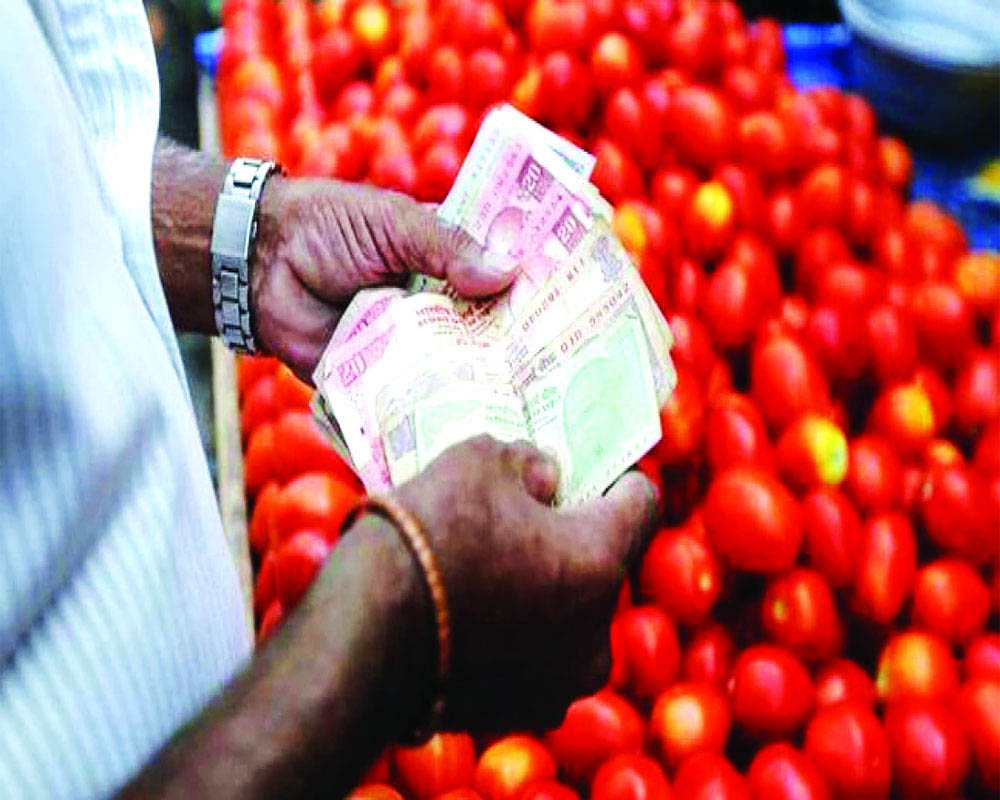 Centre directs Nafed, NCCF to procure tomato from AP, Karnataka, Maha for distribution in key consuming centres