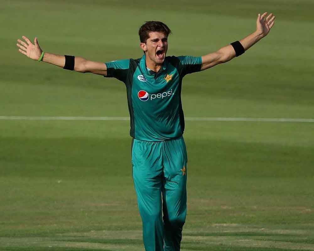 Exercise caution against Shaheen Afridi in first three overs: Hayden to Rohit