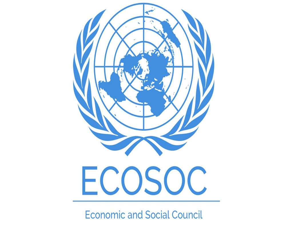 Indian NGO shares initiatives on road safety, environment conservation at annual UN ECOSOC partnership forum