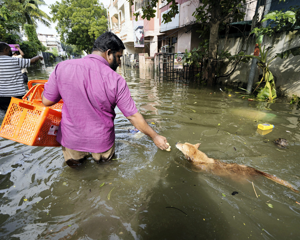 Inundation: Situation remains grim in parts of Chennai, suburbs