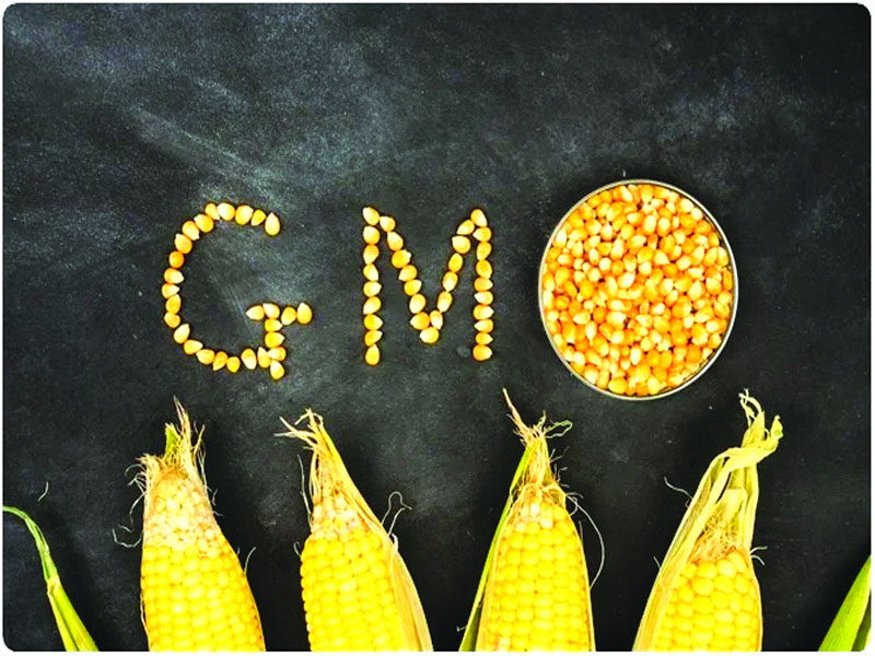 Is opposition to GM crops emotional?