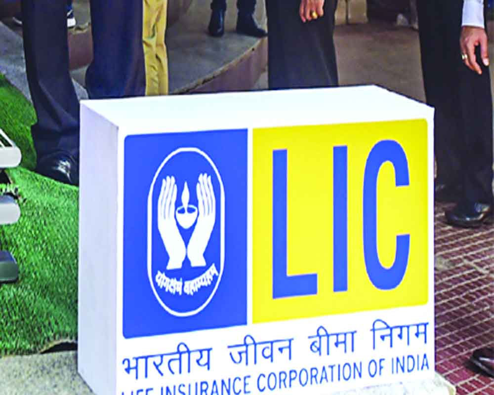 Market Value Of LIC Investment In Adani Stocks Hits Rs 44,670 Cr