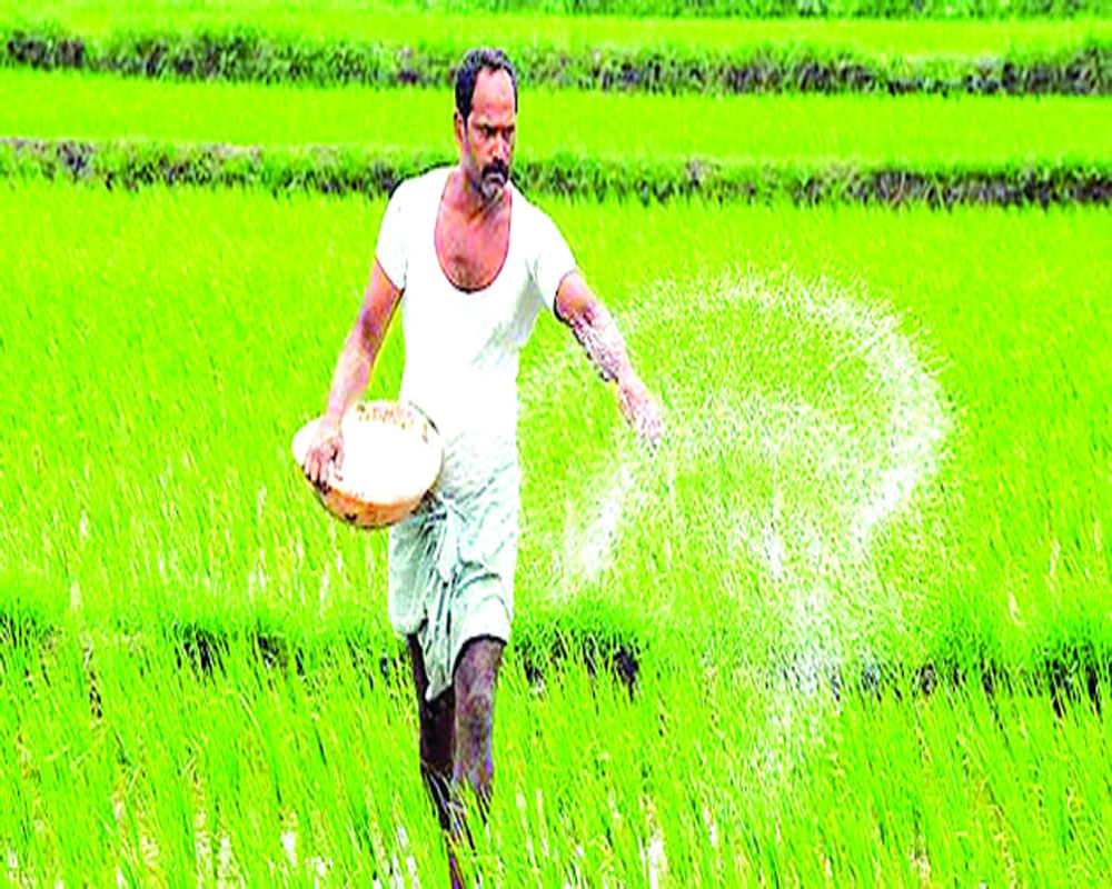 Rationalise taxes  on fertilisers