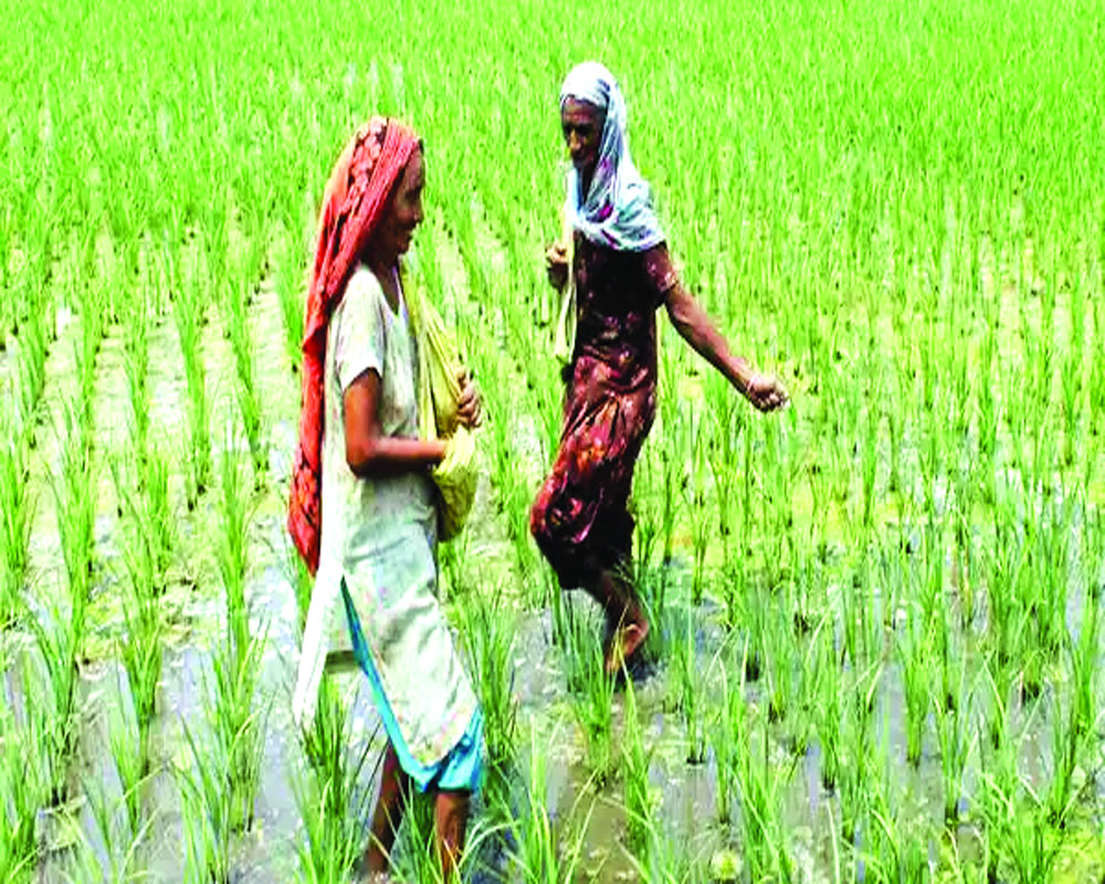 Rejig agri practices to fight climate change