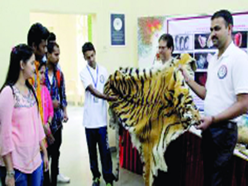 Staff crunch hinders work of Wildlife Crime Control Bureau