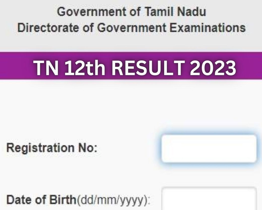 TN 12th Result 2023 Over 94 per cent of students clear TN Class XII