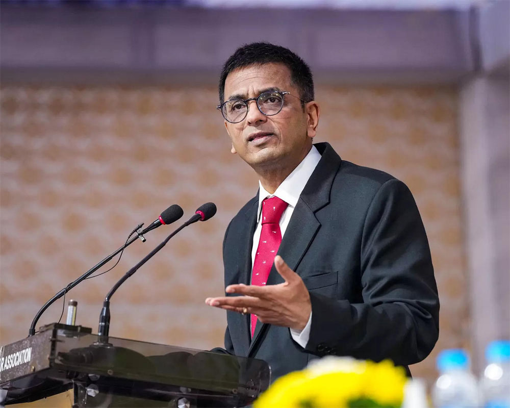 Unfortunately, legal system has often played 'pivotal role' in perpetuating 'historical wrongs' against marginalised social groups: CJI Chandrachud