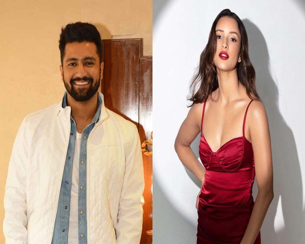 Vicky Kaushal, Triptii Dimri-starrer untitled entertainer to now release in February