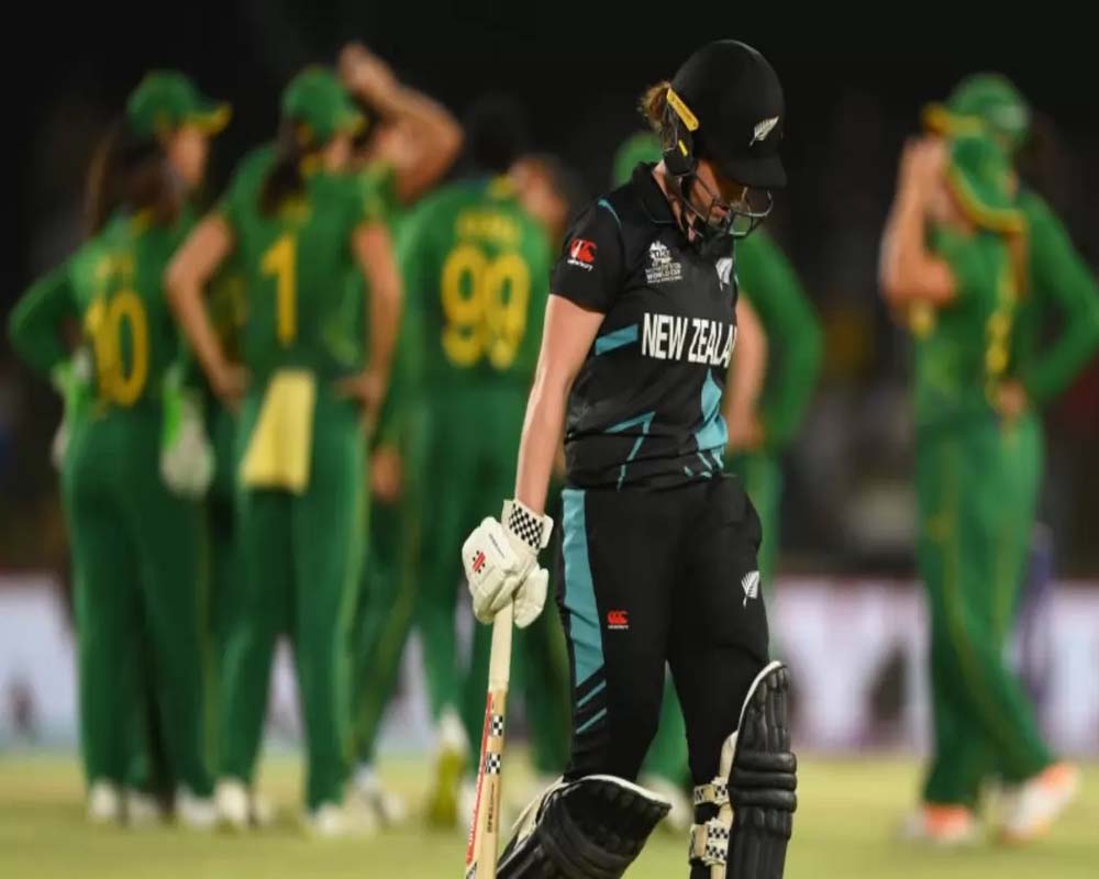 Women's T20 World Cup: South Africa Rout NZ; Bounce Back In Semis Race