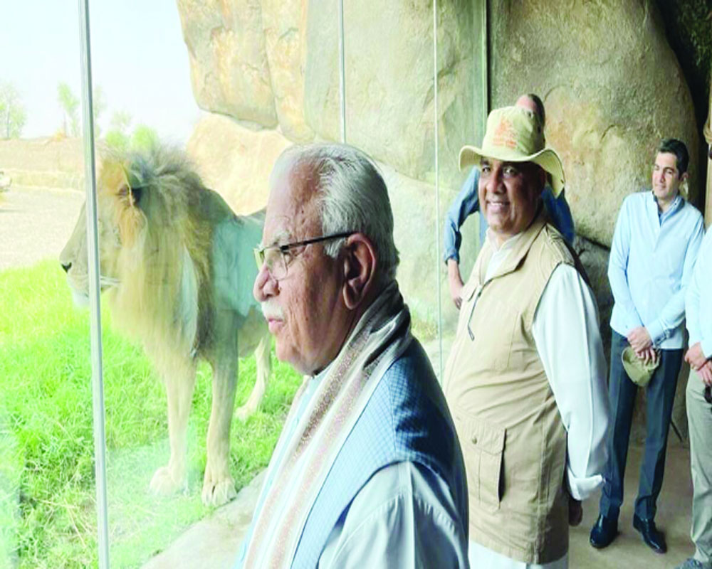 World’s largest jungle safari in Haryana! 1st phase to be ready by 2025