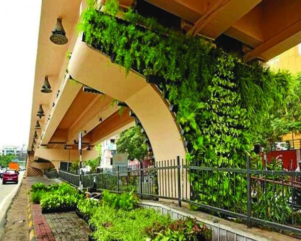 Bengaluru becomes ‘Garden City’ again