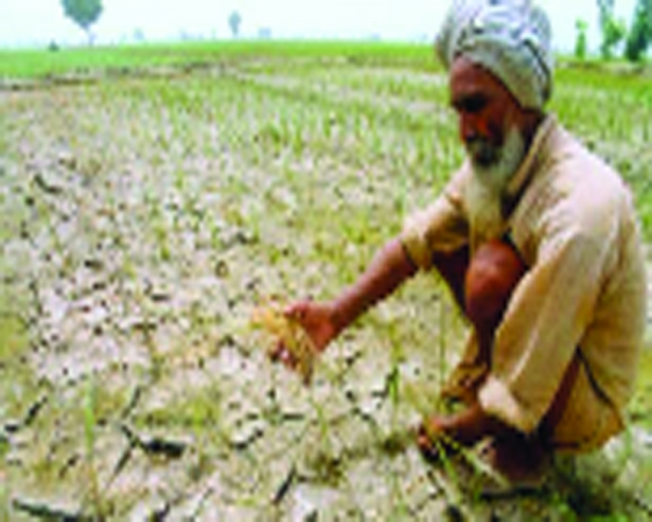 Indian agriculture and climate change: Challenges and strategies