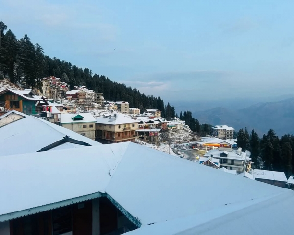 Orange alert issued for severe cold in 4 Himachal districts, snowfall likely in some parts