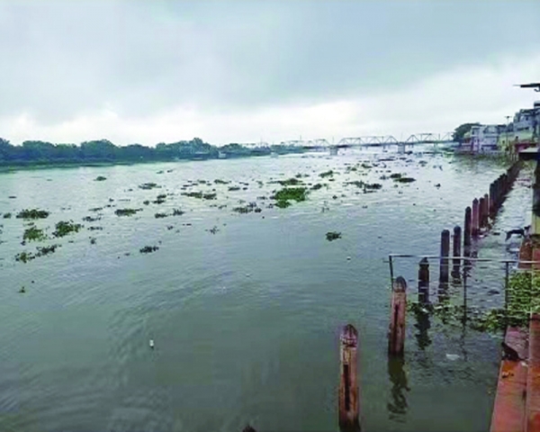 Yamuna grows toxic veggies?