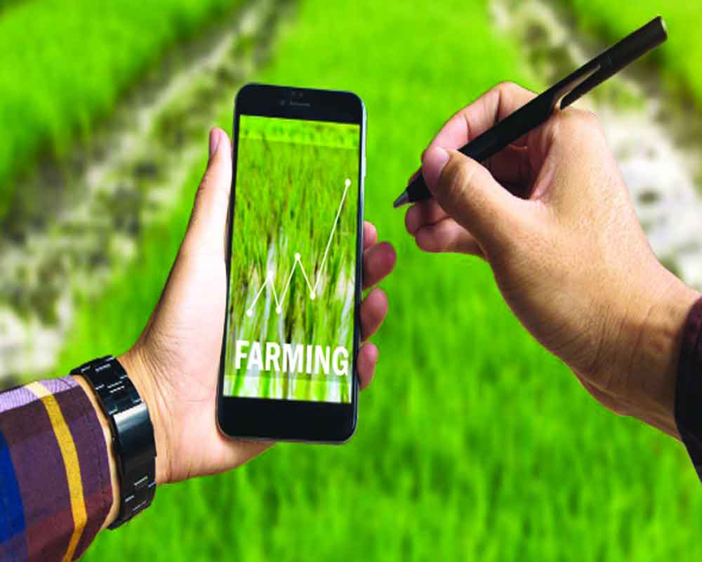 Agri-tech 2.0 : Digital innovations paving the path to sustainable farming