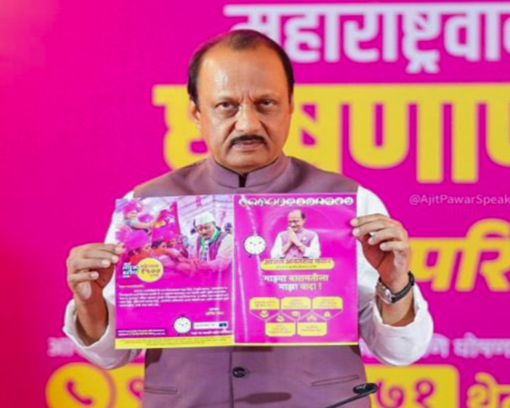 Ajit Pawar backs PM's `ek hai to safe hai' message; opposes `batenge to katenge' slogan