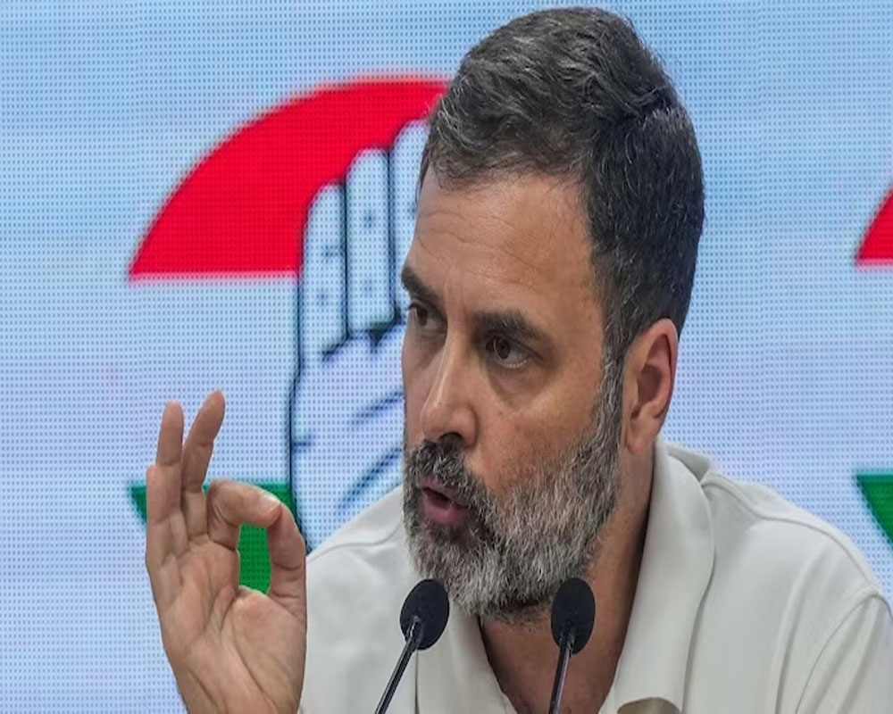 BJP spreading lies, desperate to silence me: Rahul