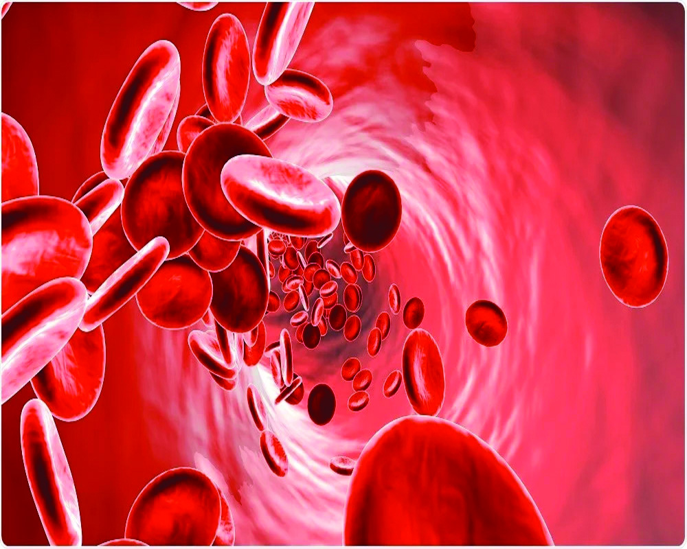 Breaking the Cycle | The Urgent Need to  Combat Anaemia