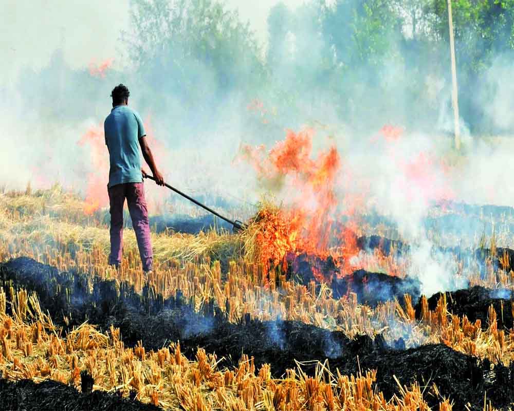 Centre doubles fines for stubble burning