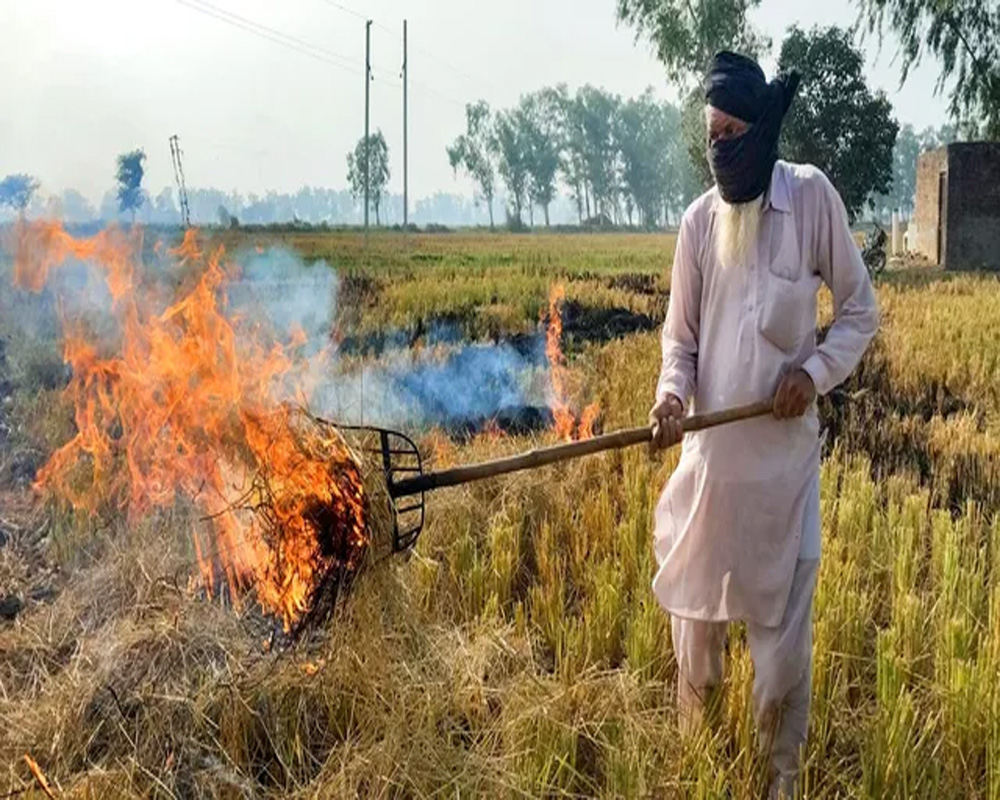 Centre in SC 'strongly' opposes setting up ex judges panel to monitor stubble burning