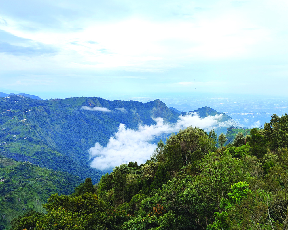 Charming Coonoor Promises A Tranquil Retreat