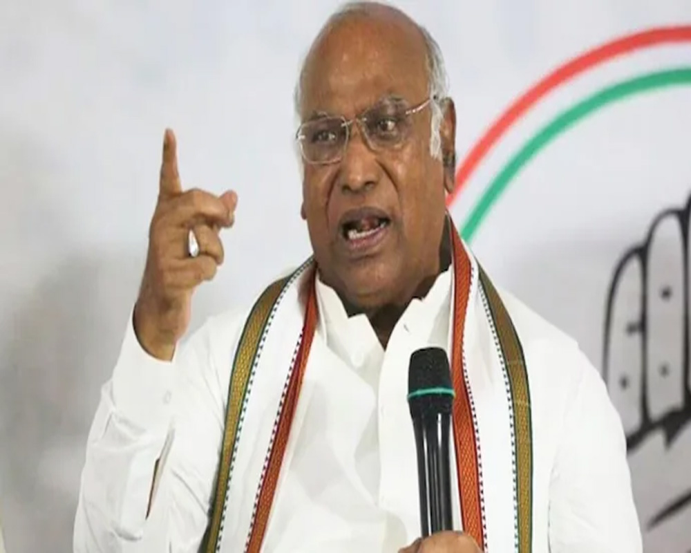 Cong analysing Haryana assembly poll loss, booth wise report sought: Kharge