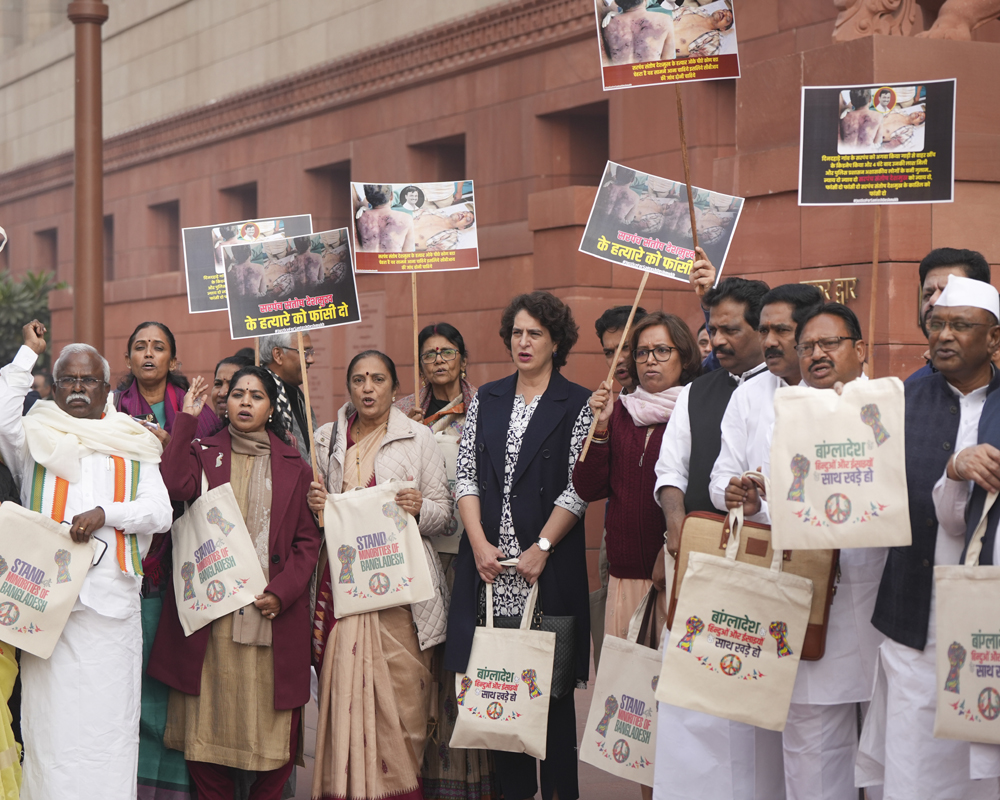 Cong MPs express solidarity with Bangladesh's minorities with message on handbags