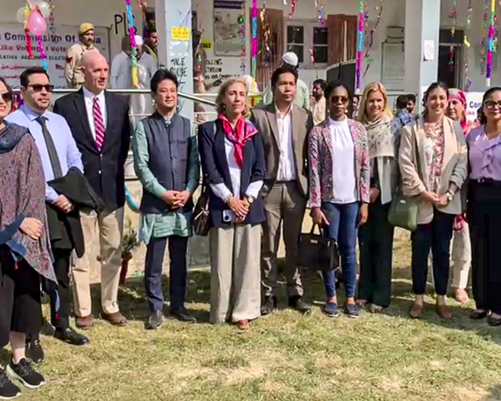 Delegation of diplomats in J-K to witness assembly elections