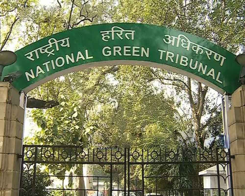 DPCC must comply with order to close illegal shops of scrap dealers: NGT