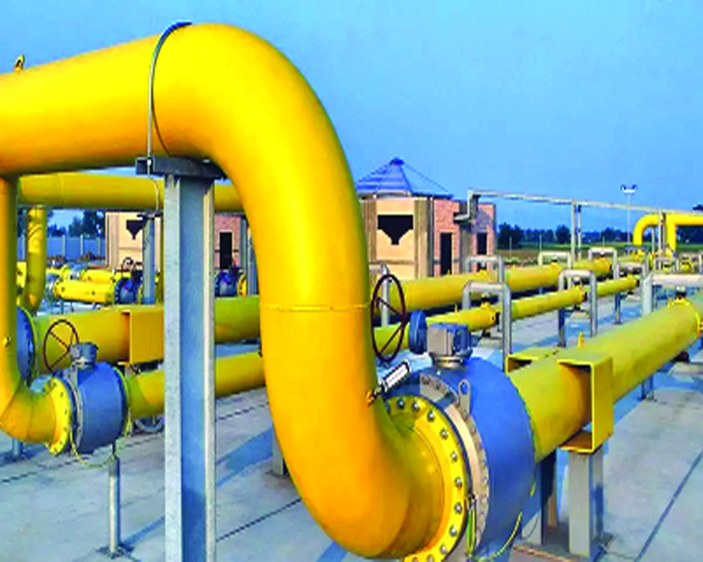 Exploration, monetisation of natural gas will benefit Northeast: Indian Gas Exchange Official