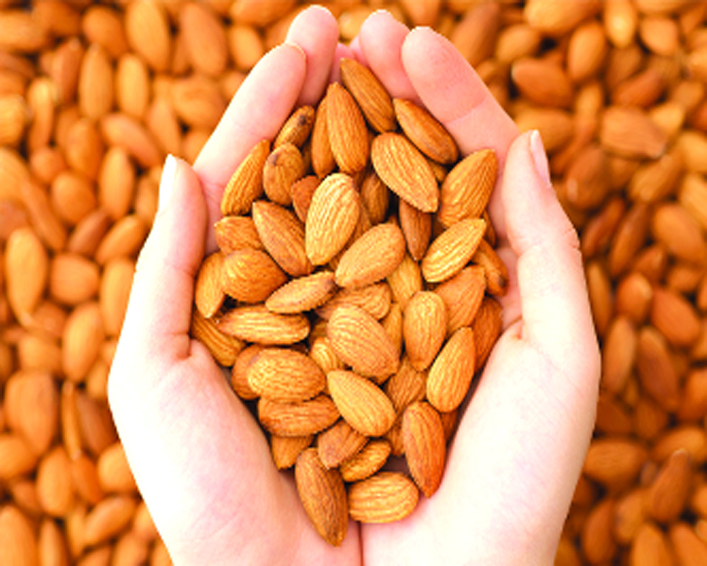 Fibre-Packed Almonds