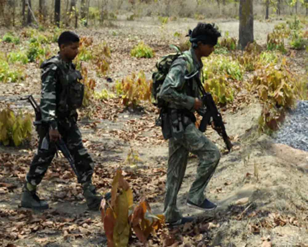 Five Naxalites killed, 2 security personnel injured in encounter in Chhattisgarh's Bastar region