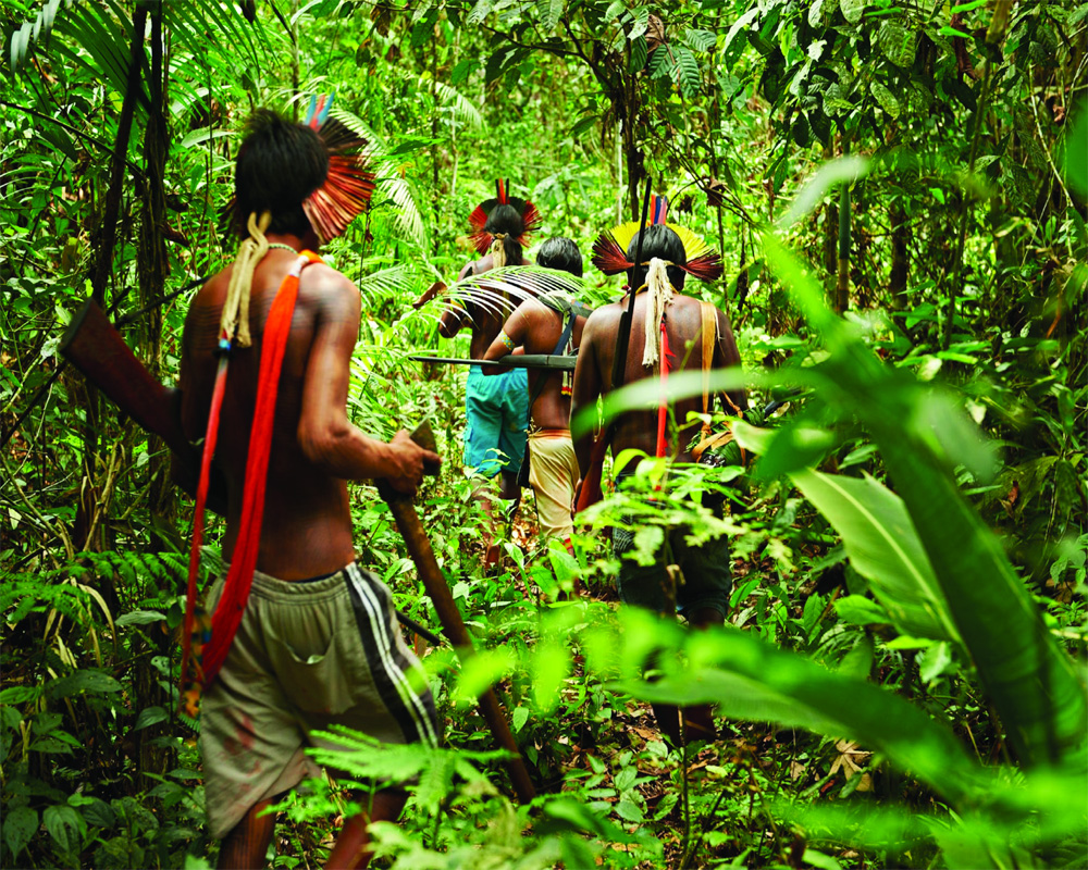 Guardians of nature: Saving the planet