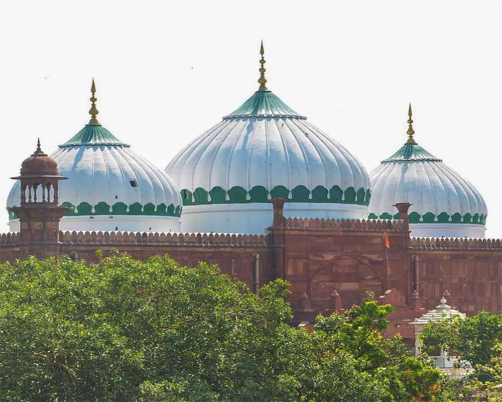 HC dismisses Muslim side's petition on Mathura temple-mosque dispute, says cases maintainable