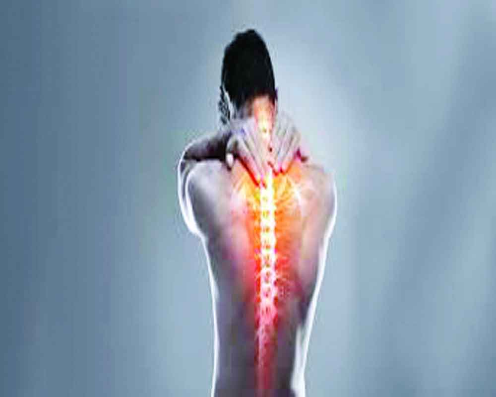 healthy Spine  and WellBeing