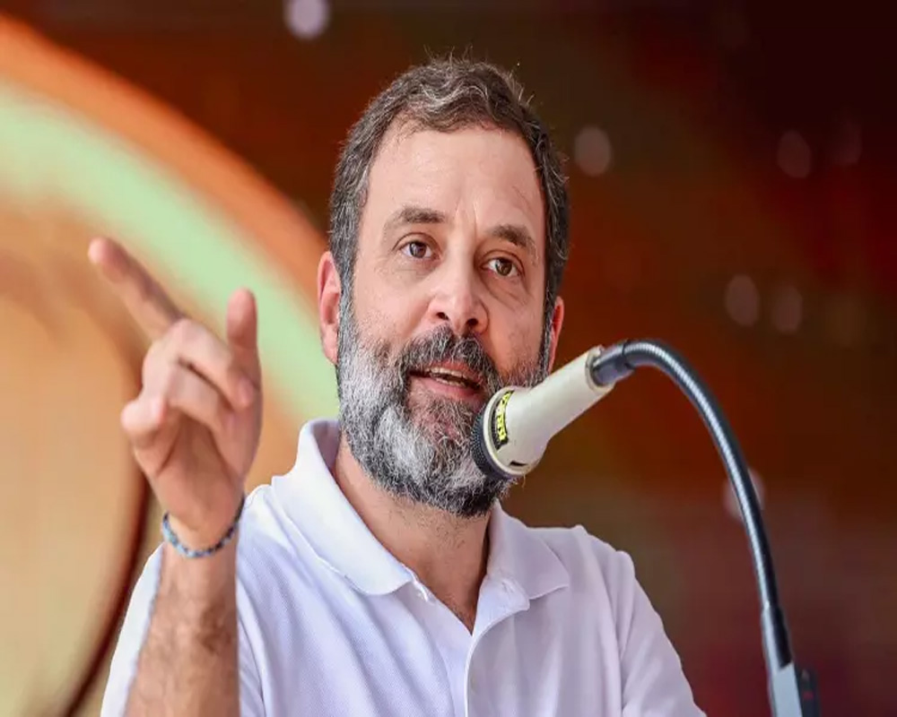 I'm not anti-business, I'm anti-monopoly: Rahul